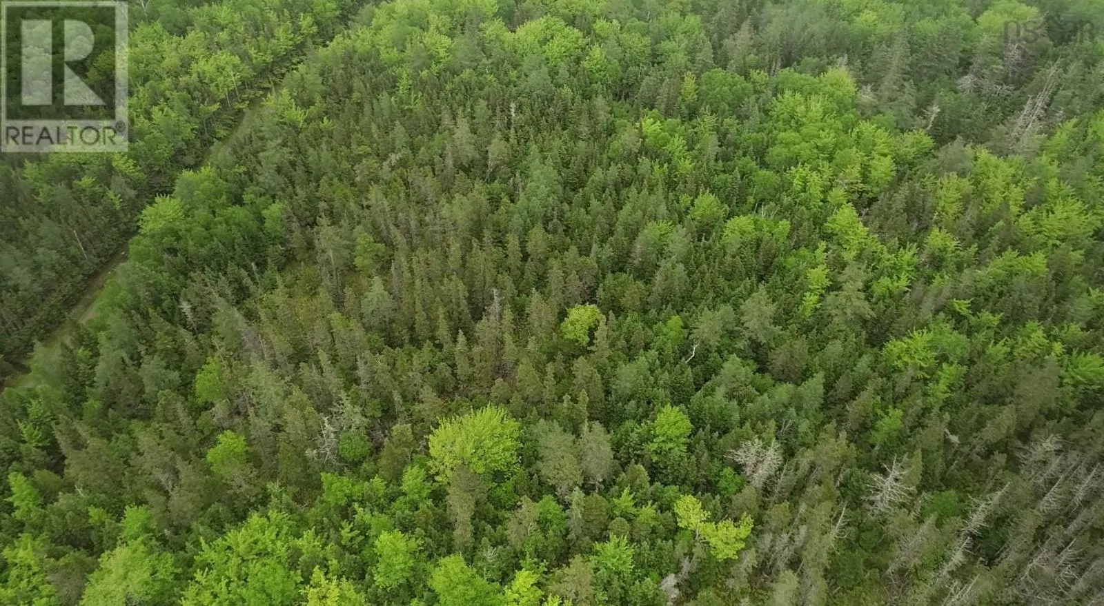 41A Widow Point Loop