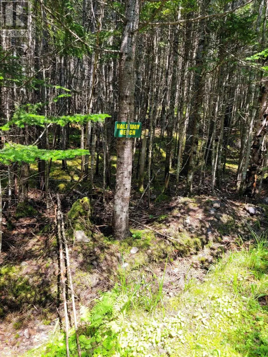 41A Widow Point Loop