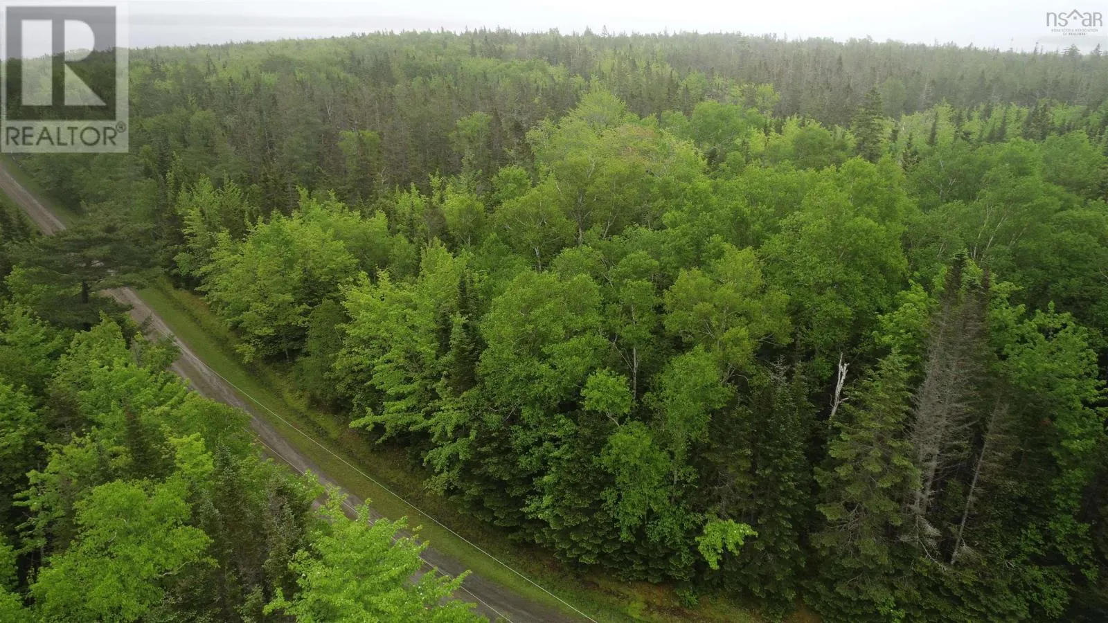 41A Widow Point Loop