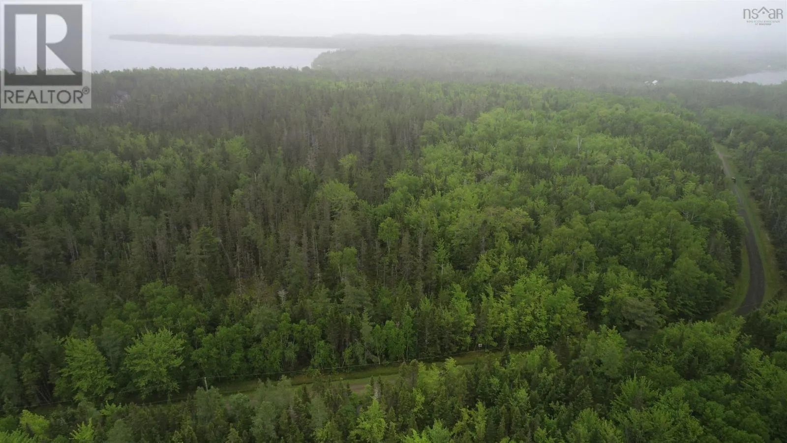 41A Widow Point Loop