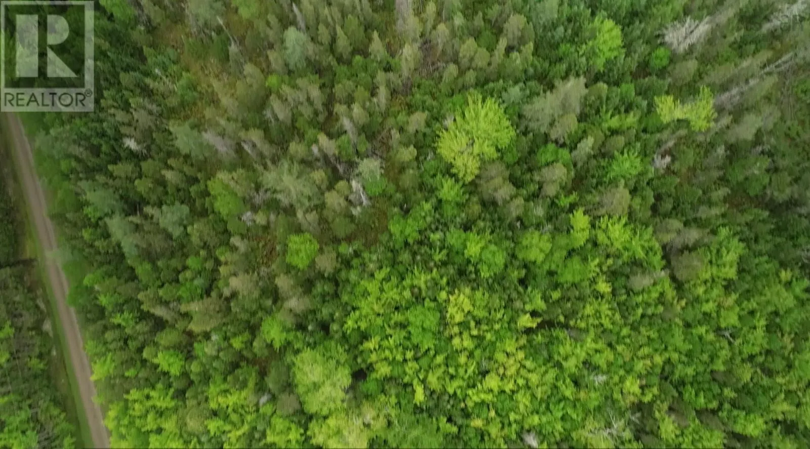 41A Widow Point Loop