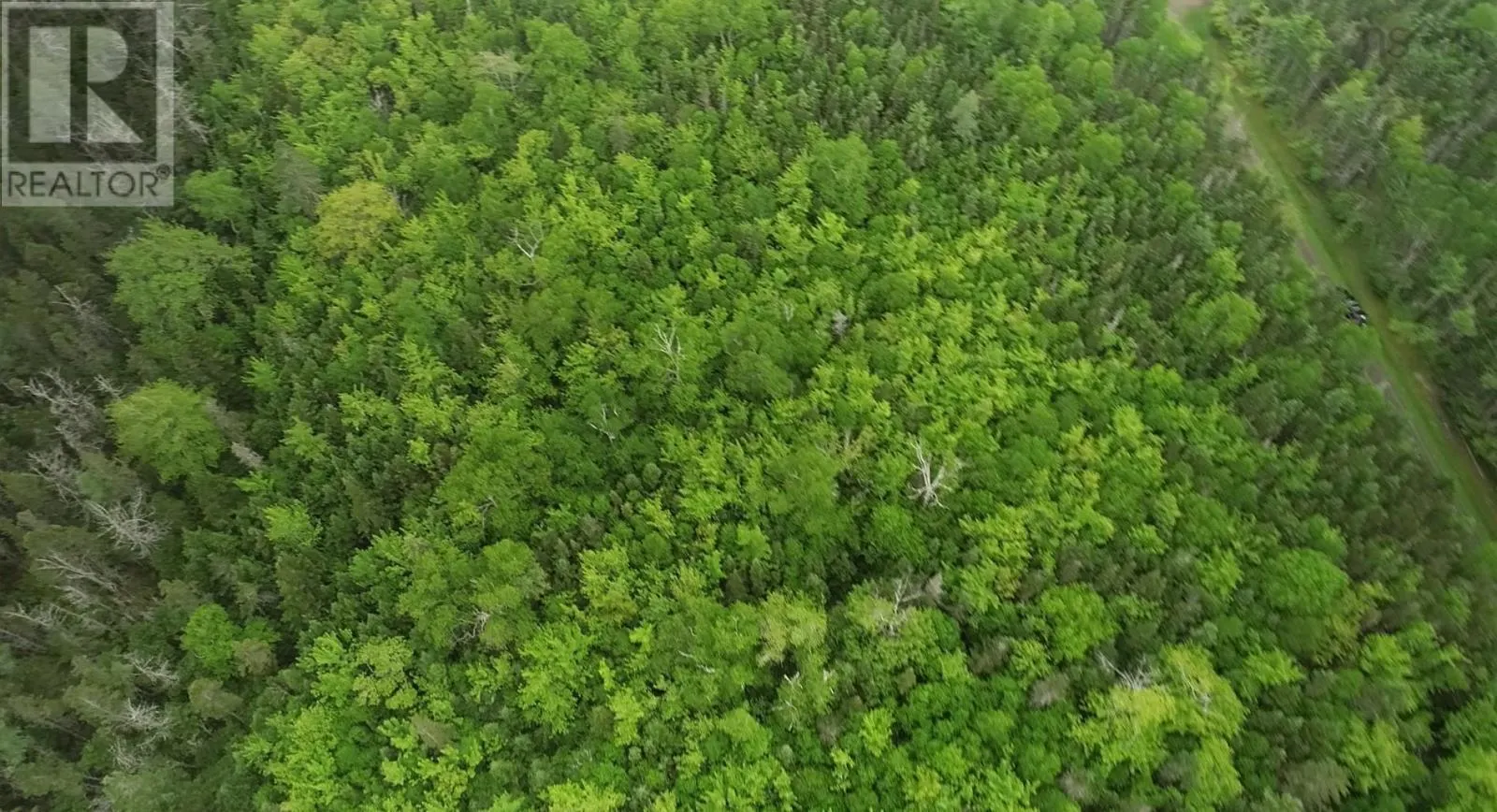 41A Widow Point Loop