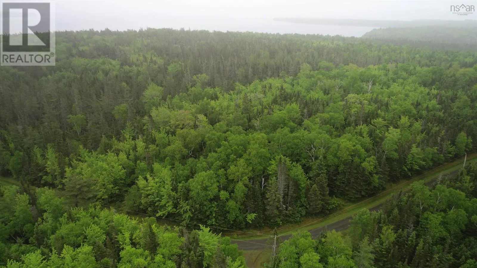 41A Widow Point Loop