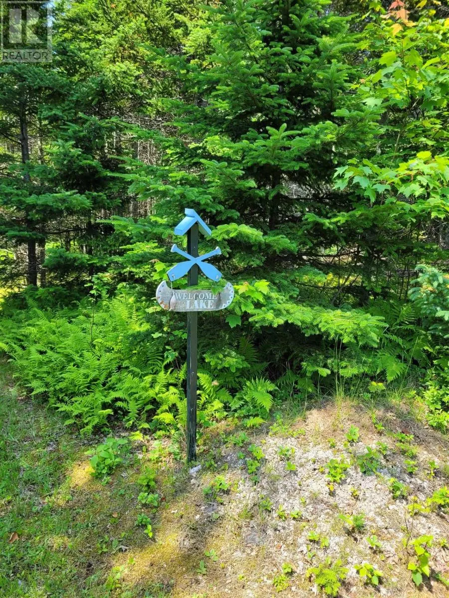 41A Widow Point Loop