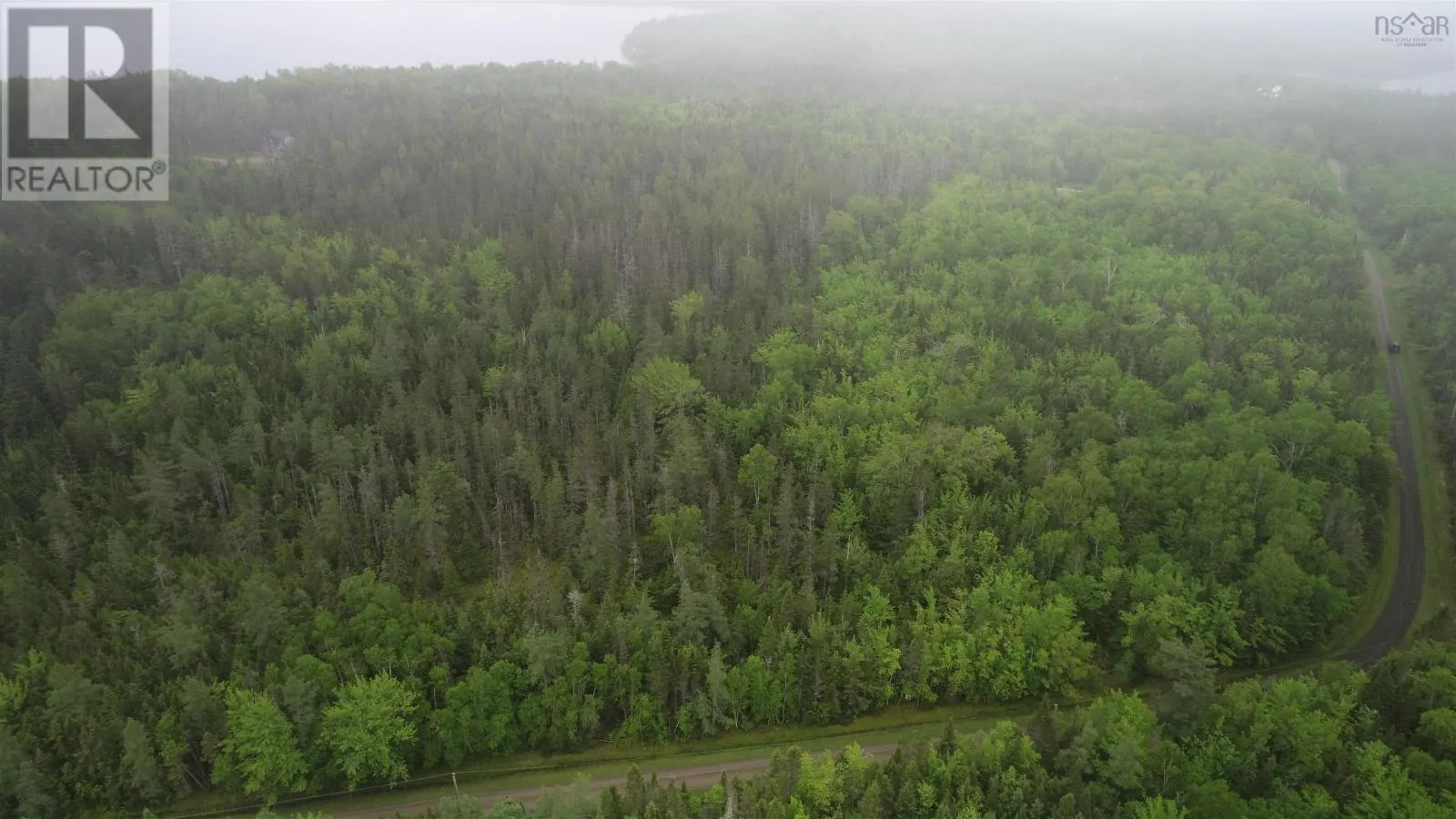 41A Widow Point Loop