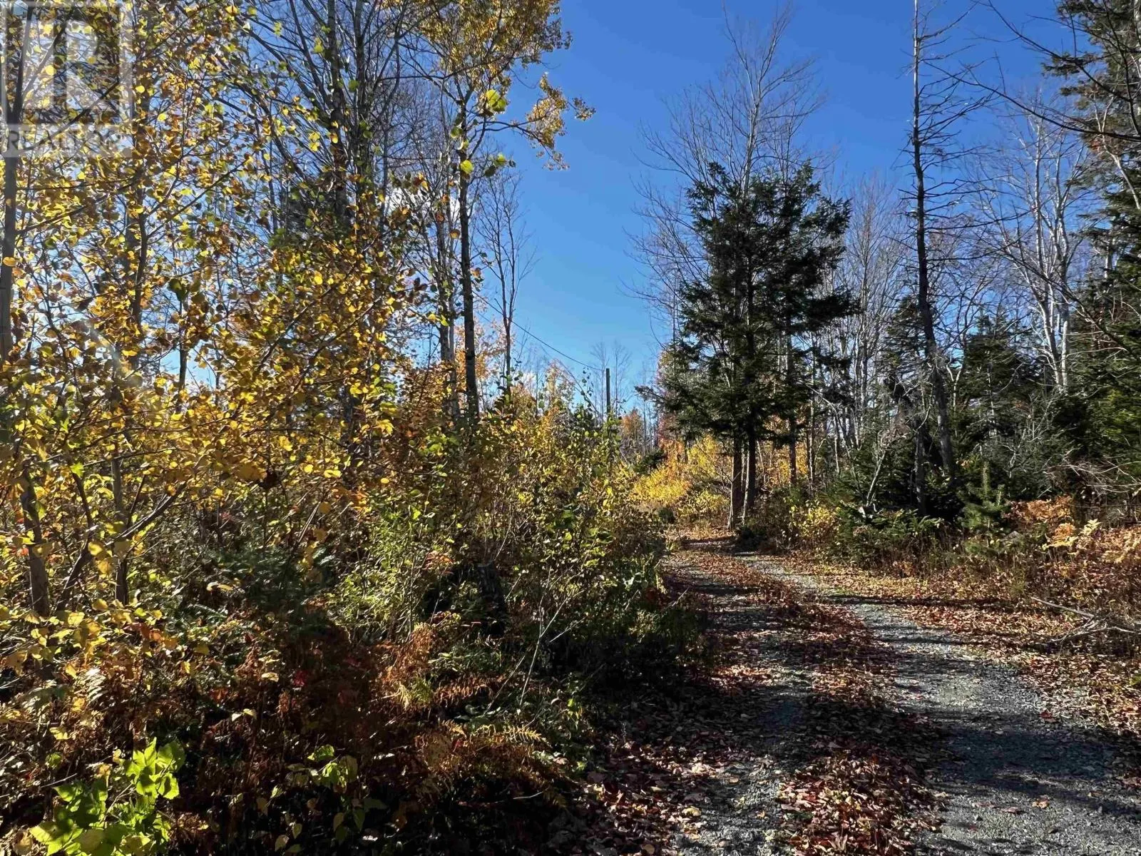 873 Loch Broom Loop Road