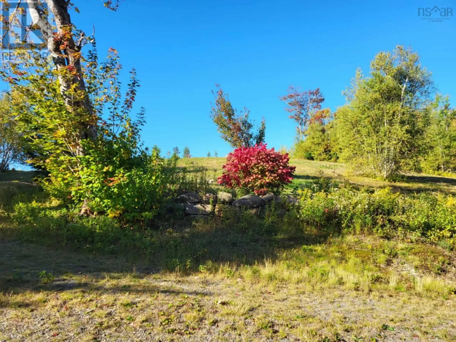 Lot 3A 9384 Highway 4