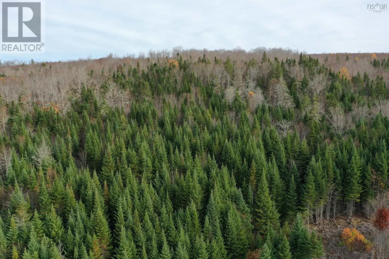 Lot 105 Acres+ MacMillan Road