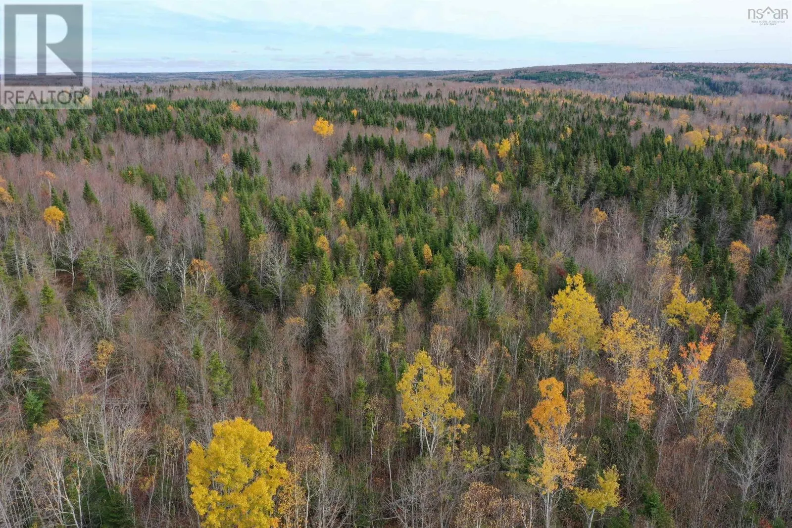 Lot 105 Acres+ MacMillan Road