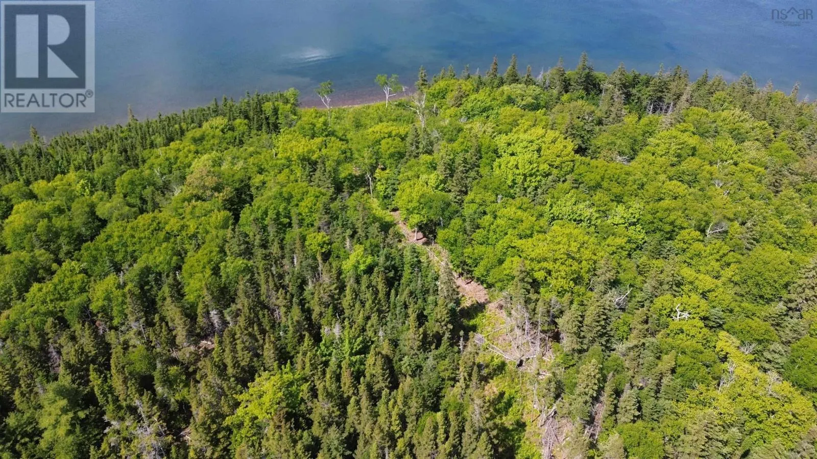 Big Harbour Island|Fiddle Head Road