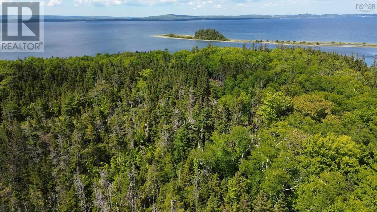 Big Harbour Island|Fiddle Head Road