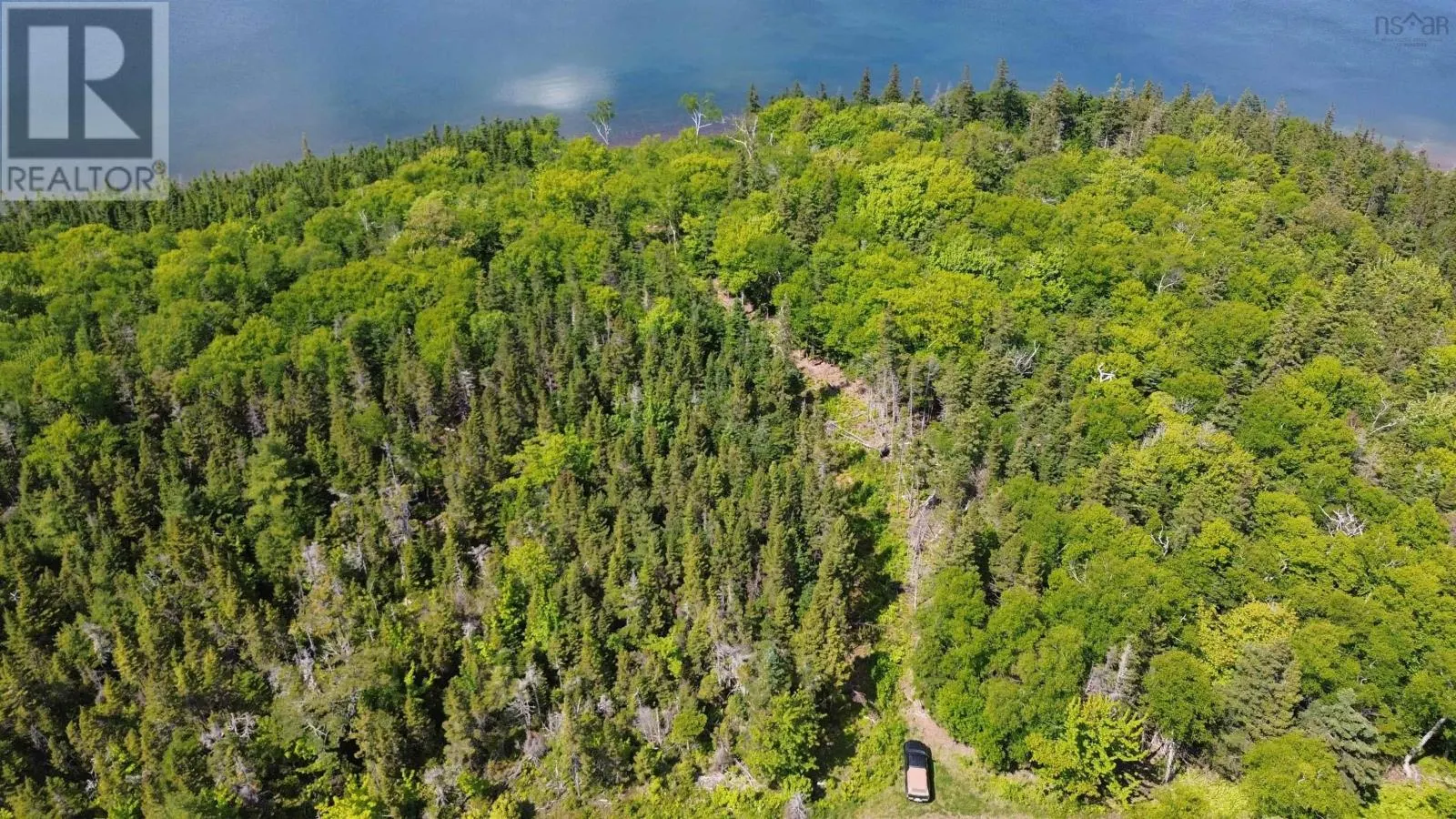 Big Harbour Island|Fiddle Head Road