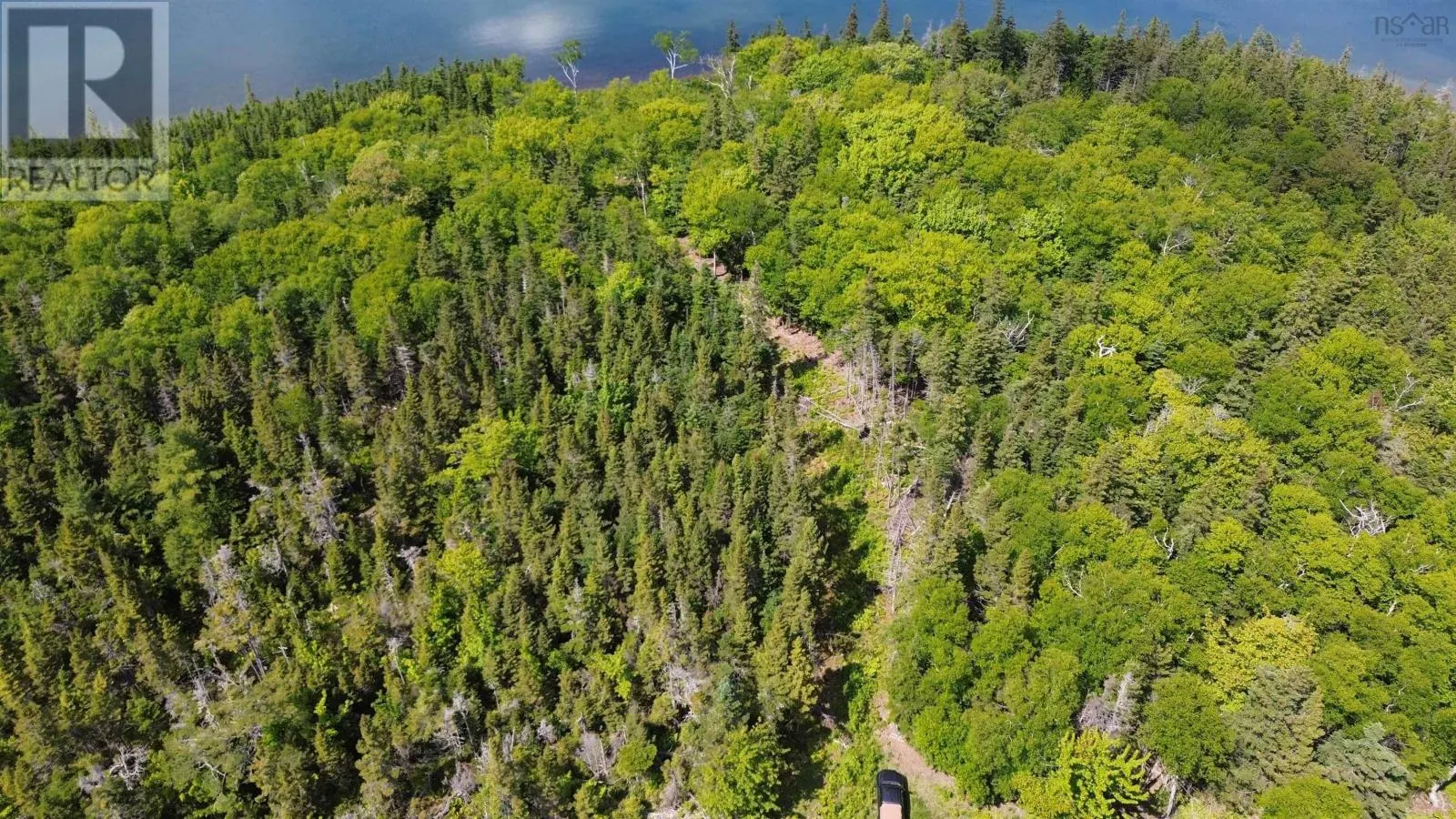 Big Harbour Island|Fiddle Head Road