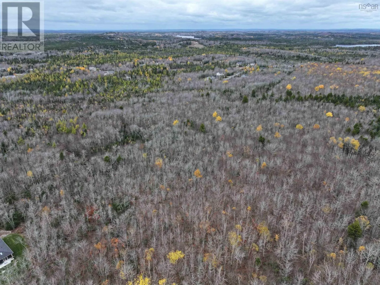 CM-2AY Mckenzie Lane