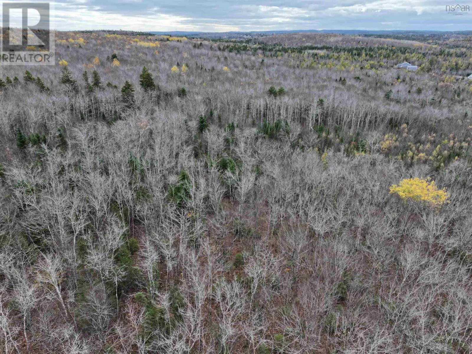 CM-2AY Mckenzie Lane