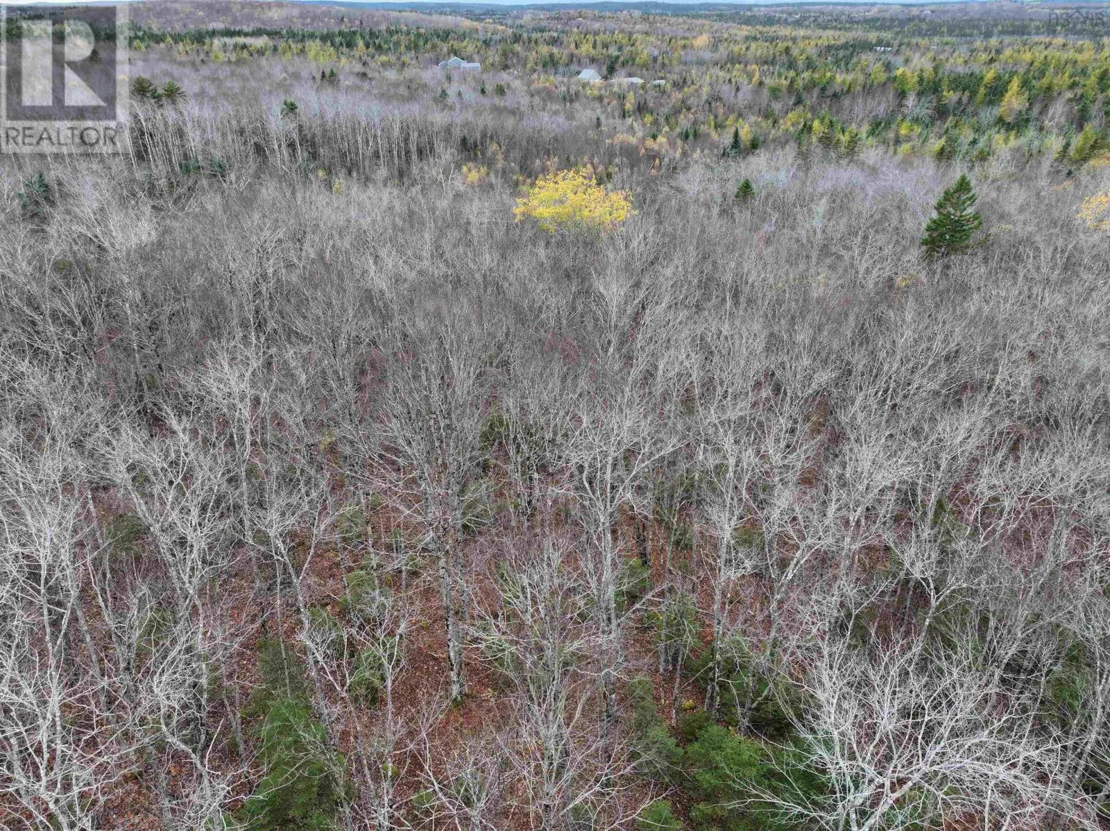 CM-2AY Mckenzie Lane