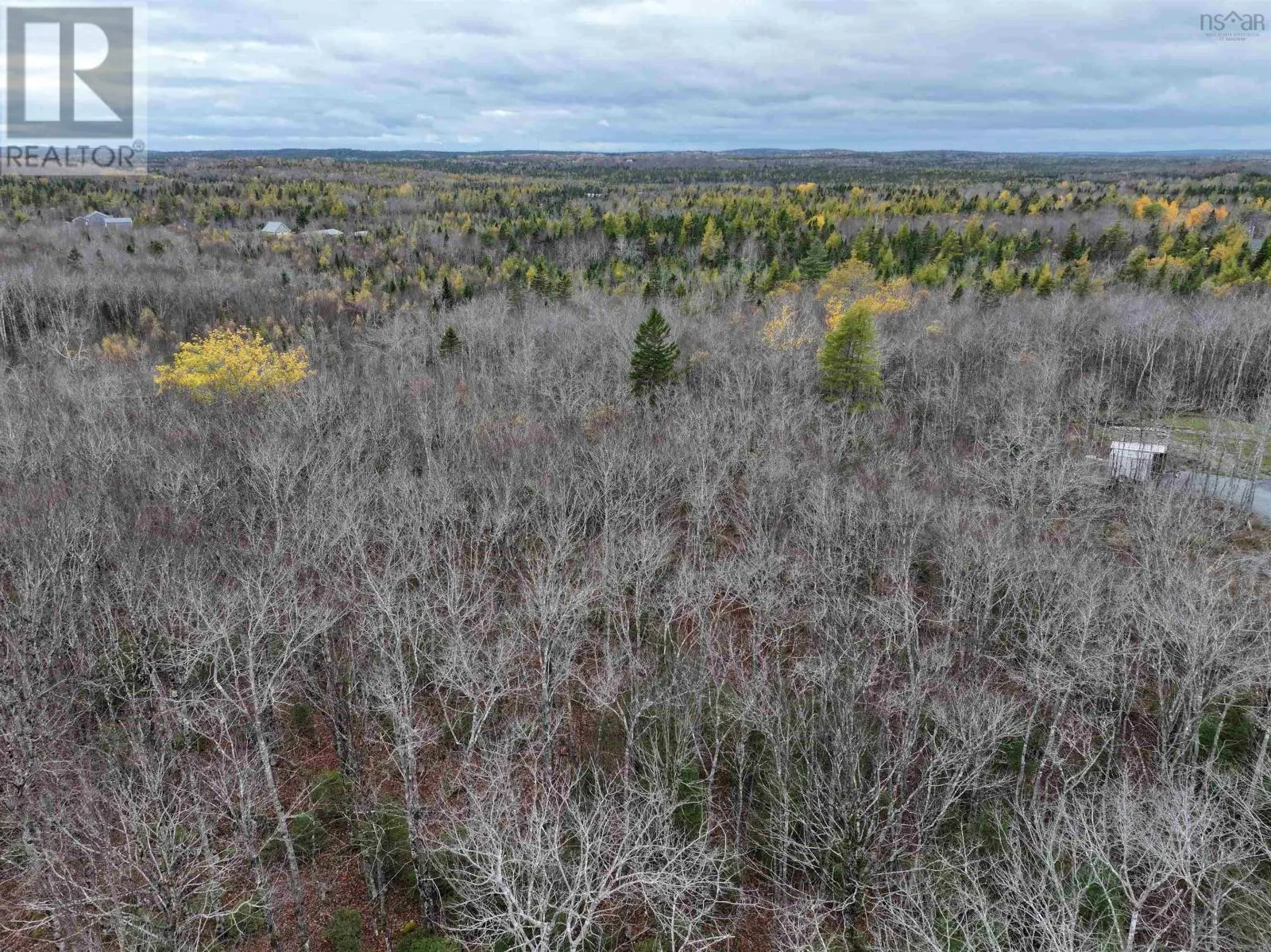 CM-2AY Mckenzie Lane