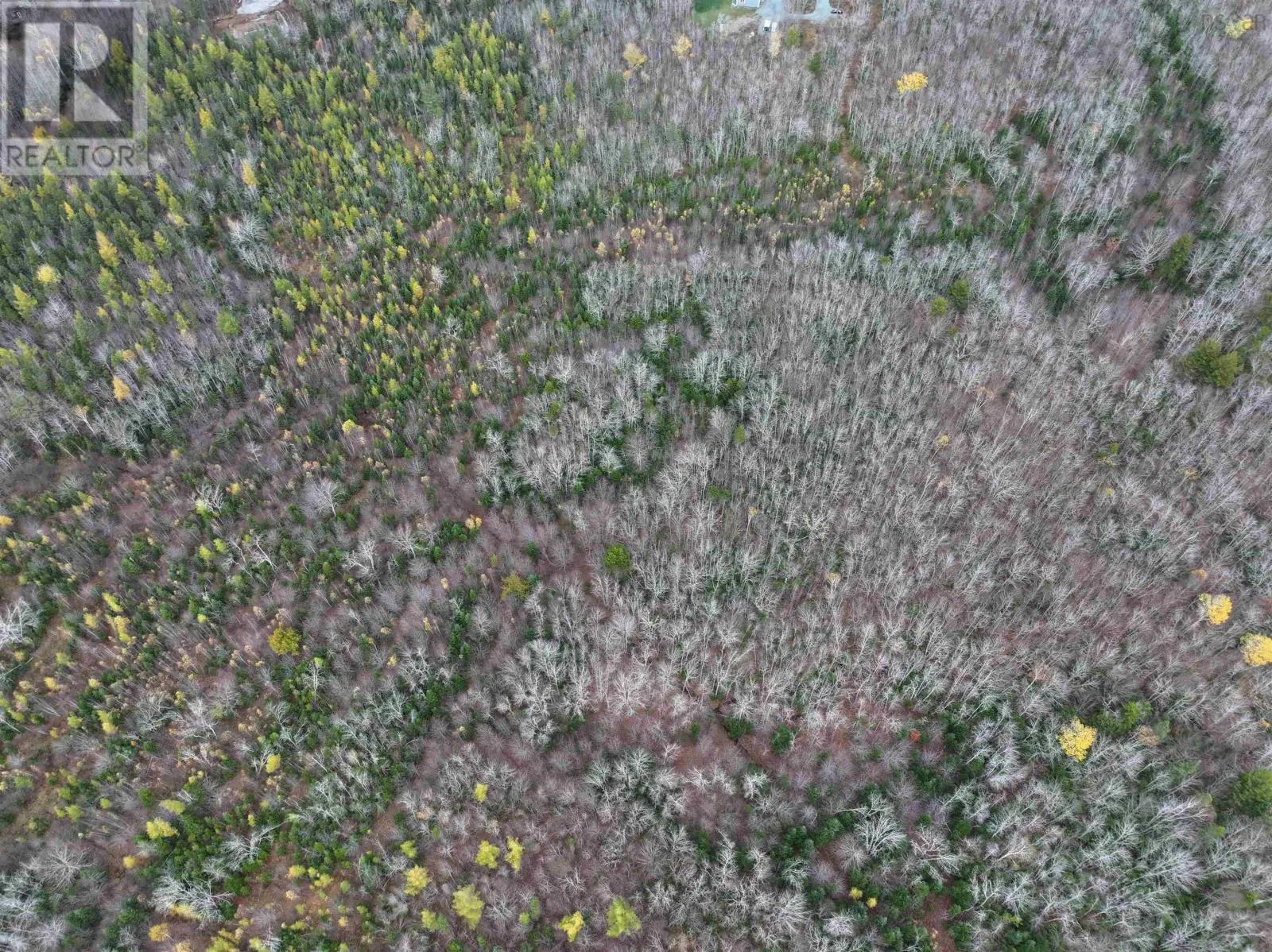 CM-2AY Mckenzie Lane