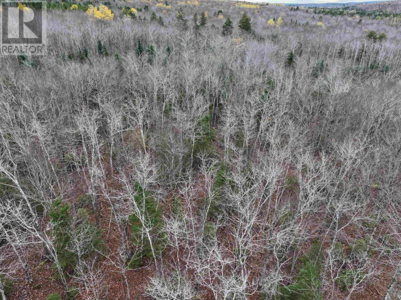 CM-2AY Mckenzie Lane