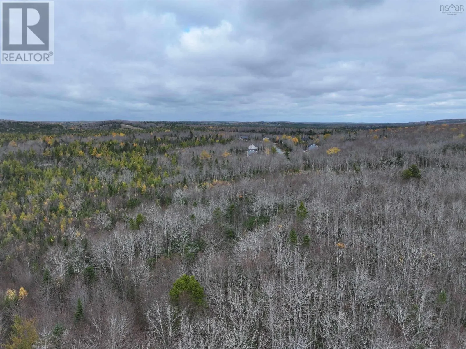 CM-2AY Mckenzie Lane