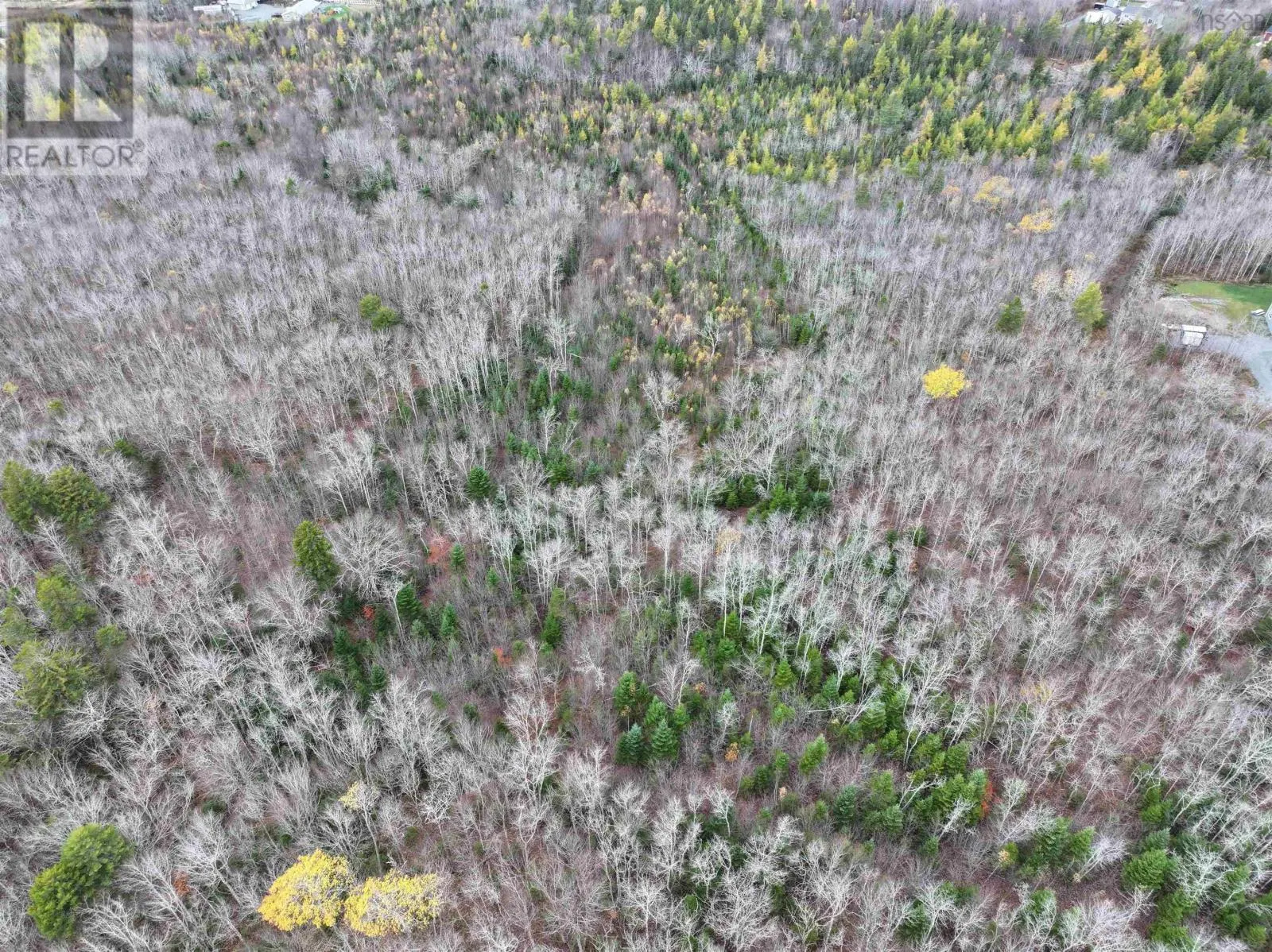 CM-2AY Mckenzie Lane