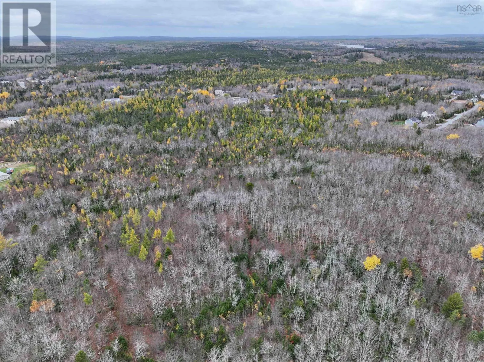 CM-2AY Mckenzie Lane