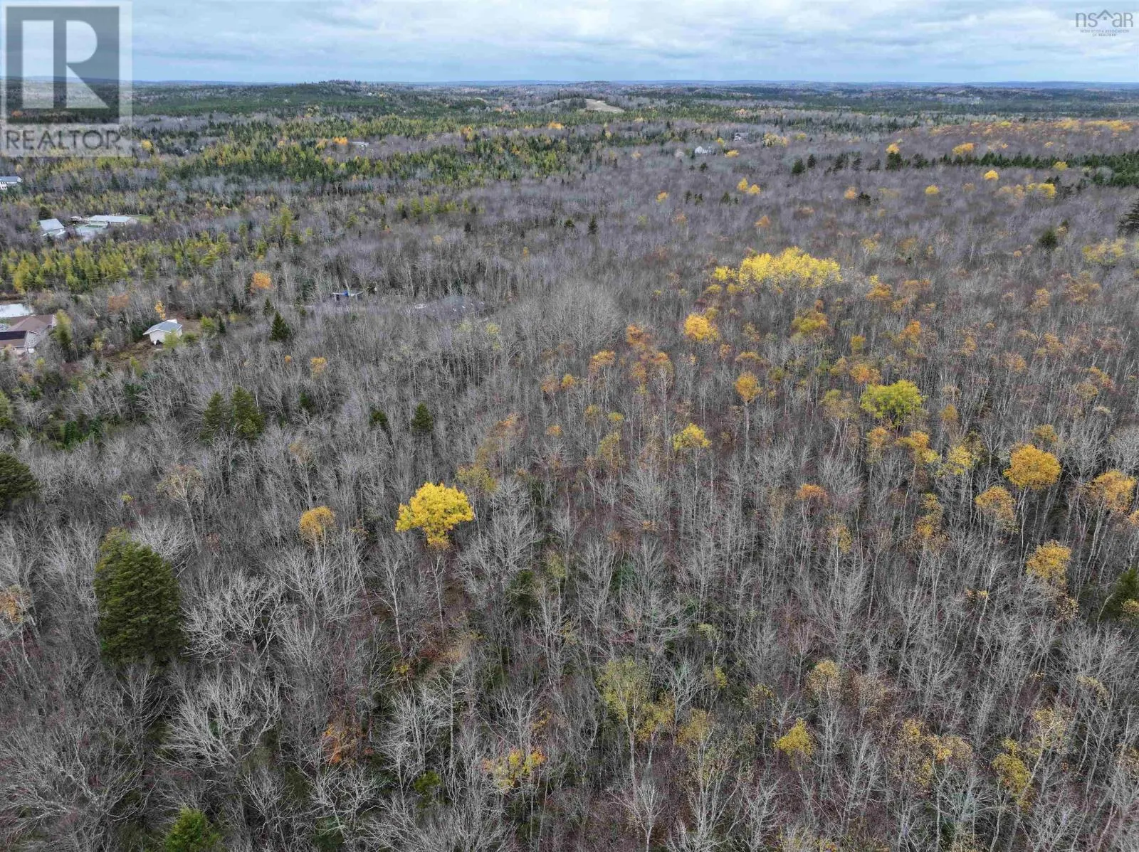 CM-2AY Mckenzie Lane