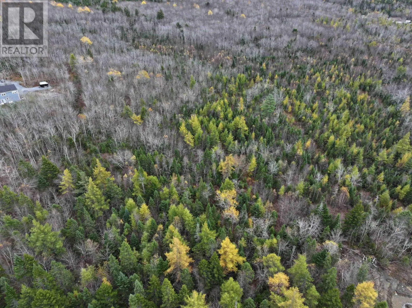 CM-2AY Mckenzie Lane