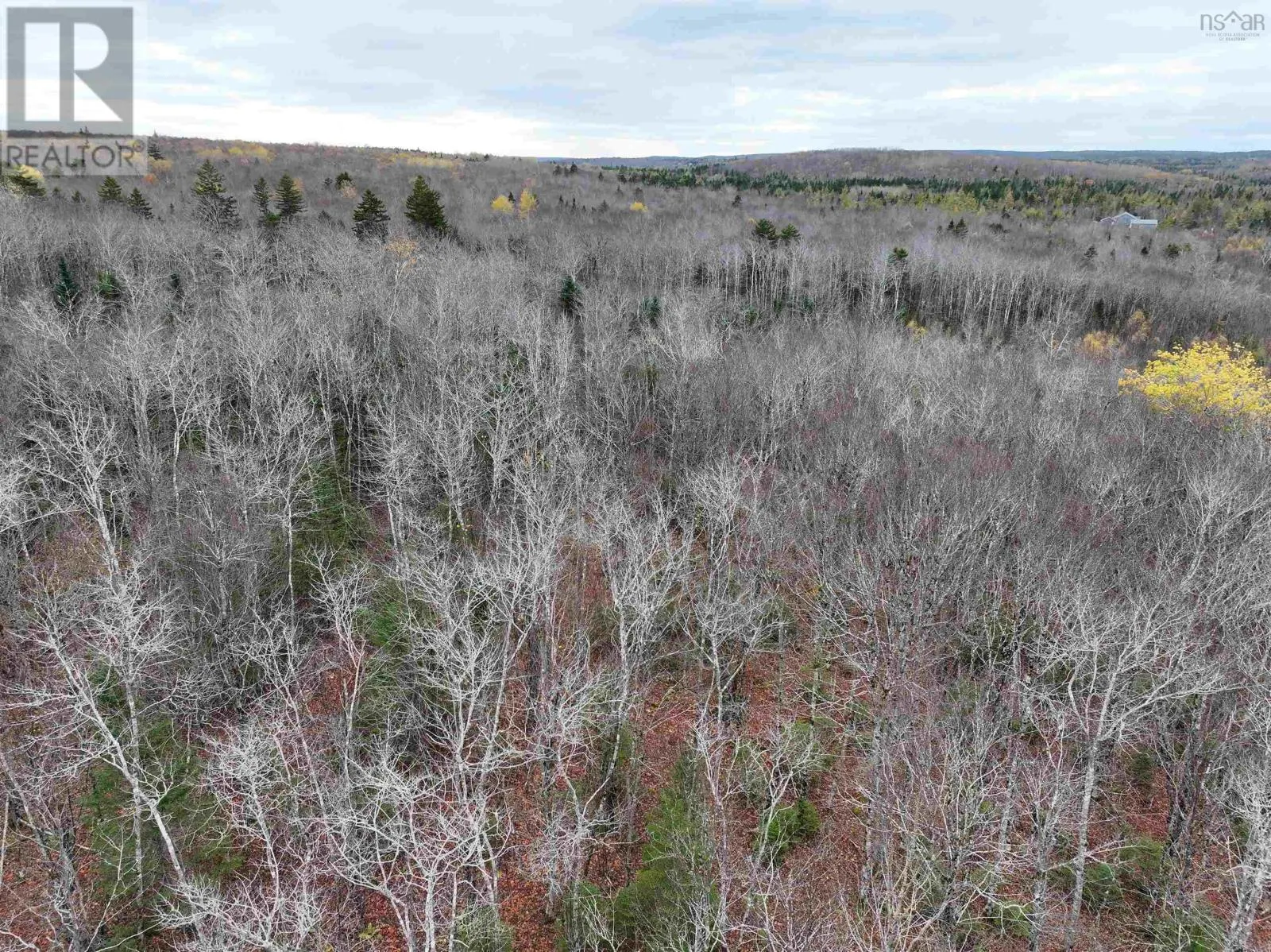 CM-2AY Mckenzie Lane