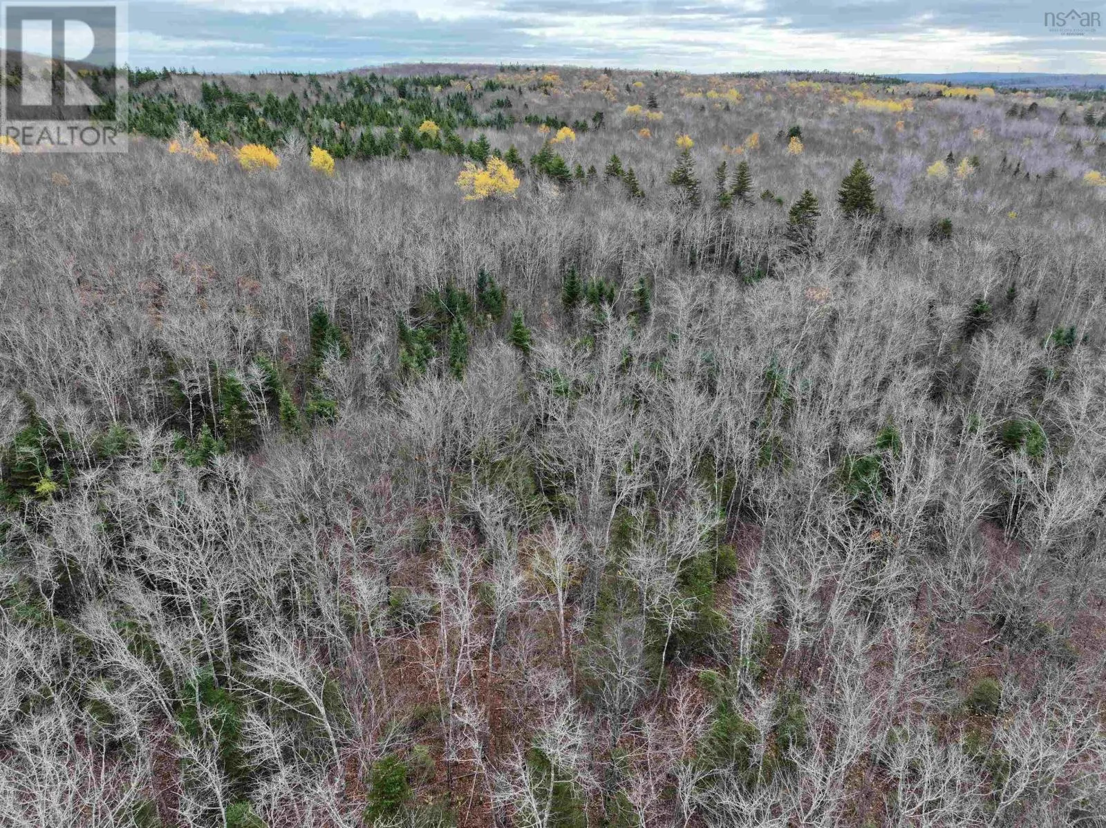 CM-2AY Mckenzie Lane