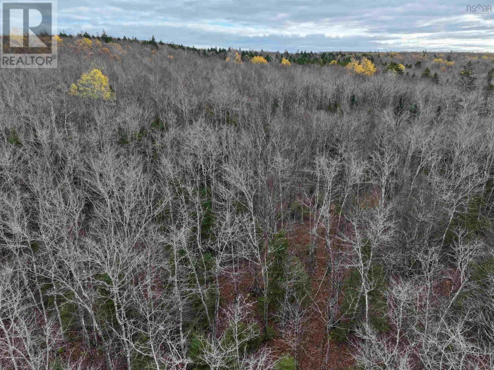 CM-2AY Mckenzie Lane