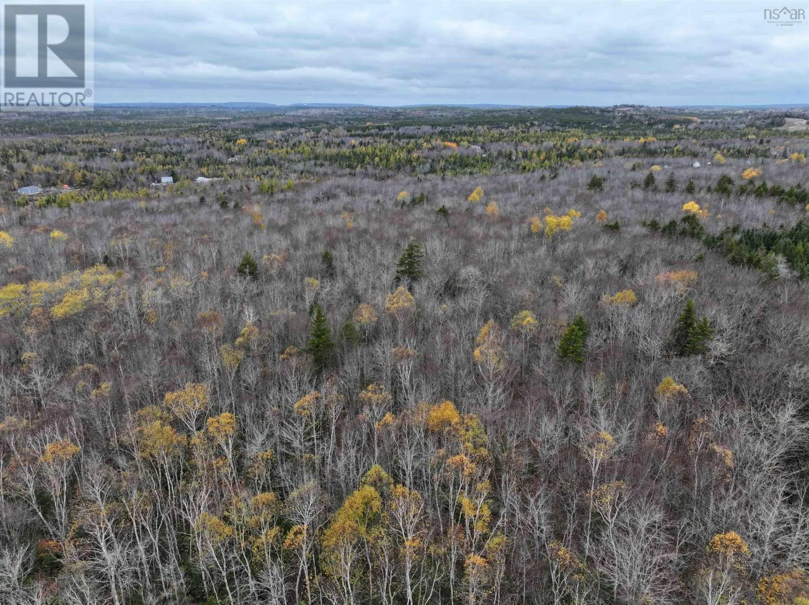 CM-2AY Mckenzie Lane