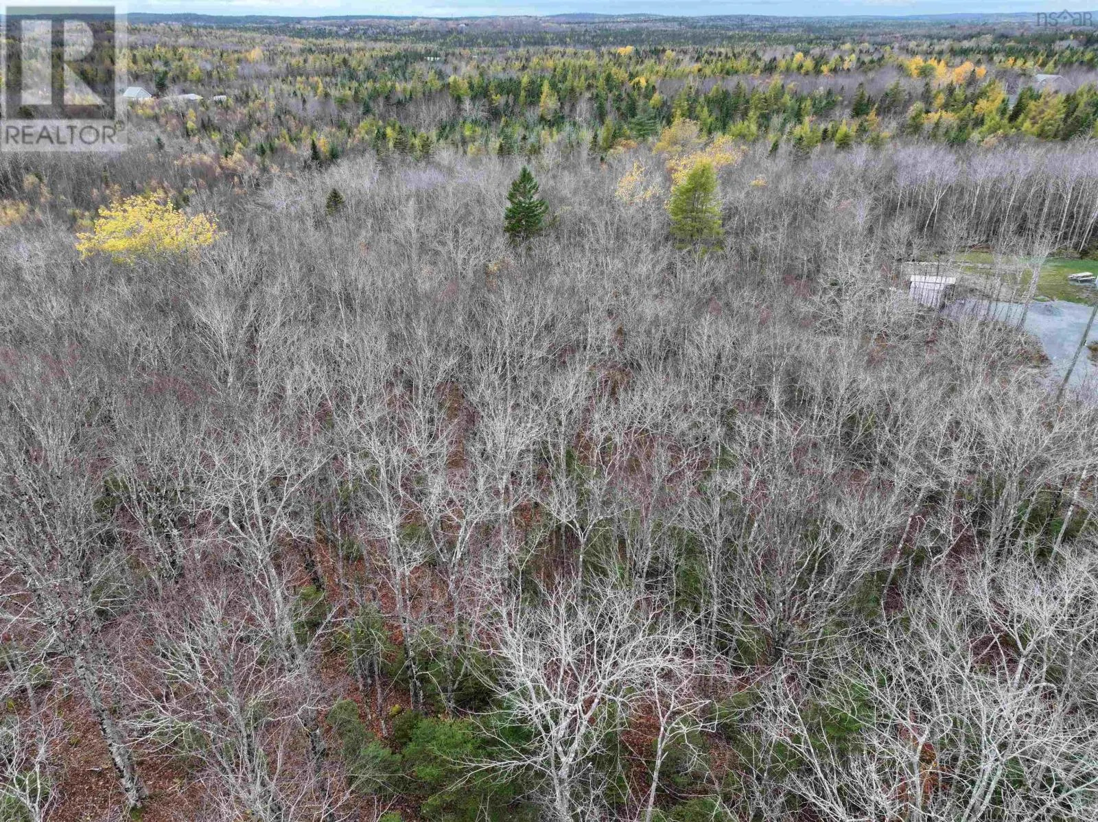 CM-2AY Mckenzie Lane