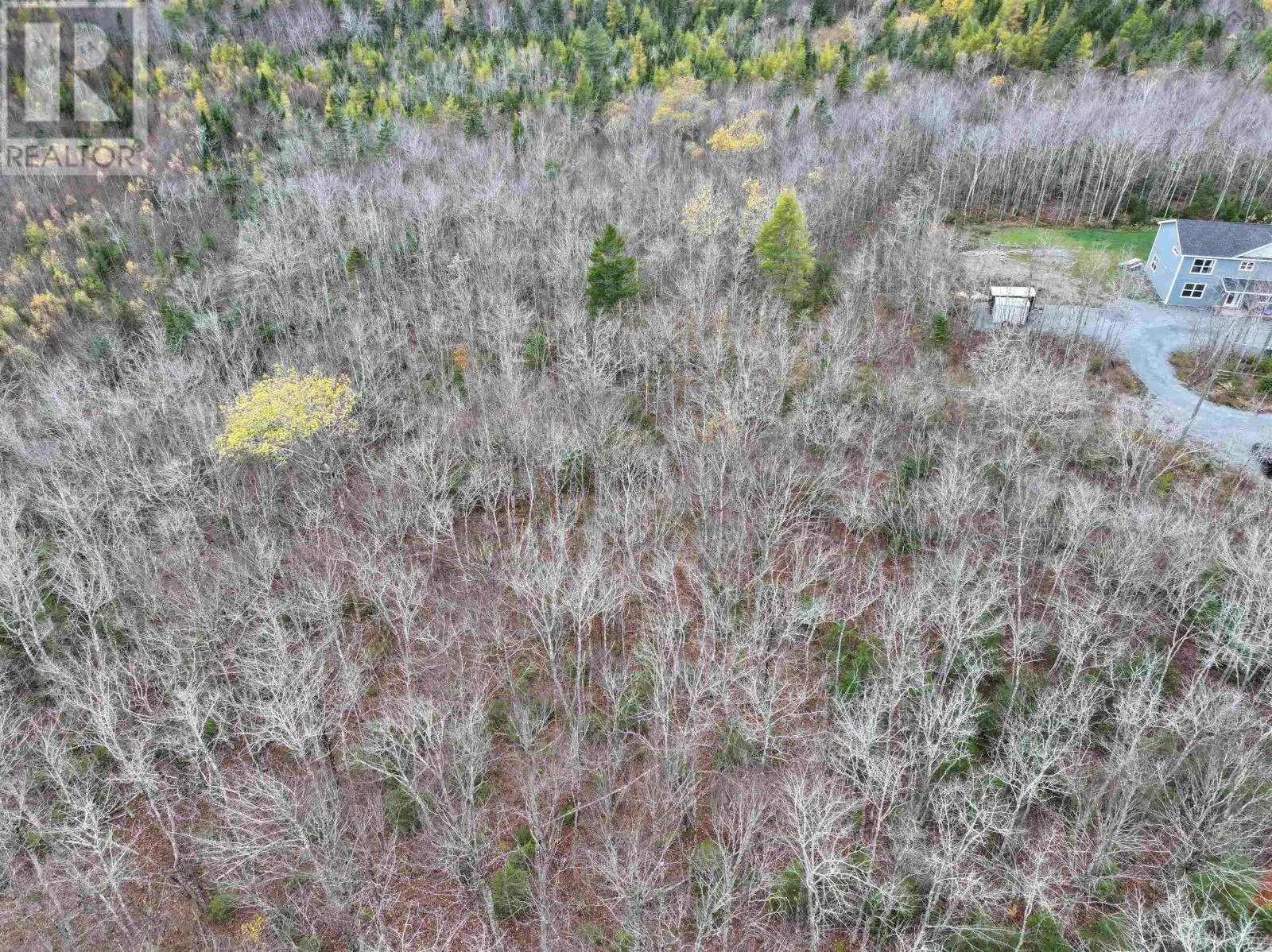 CM-2AY Mckenzie Lane