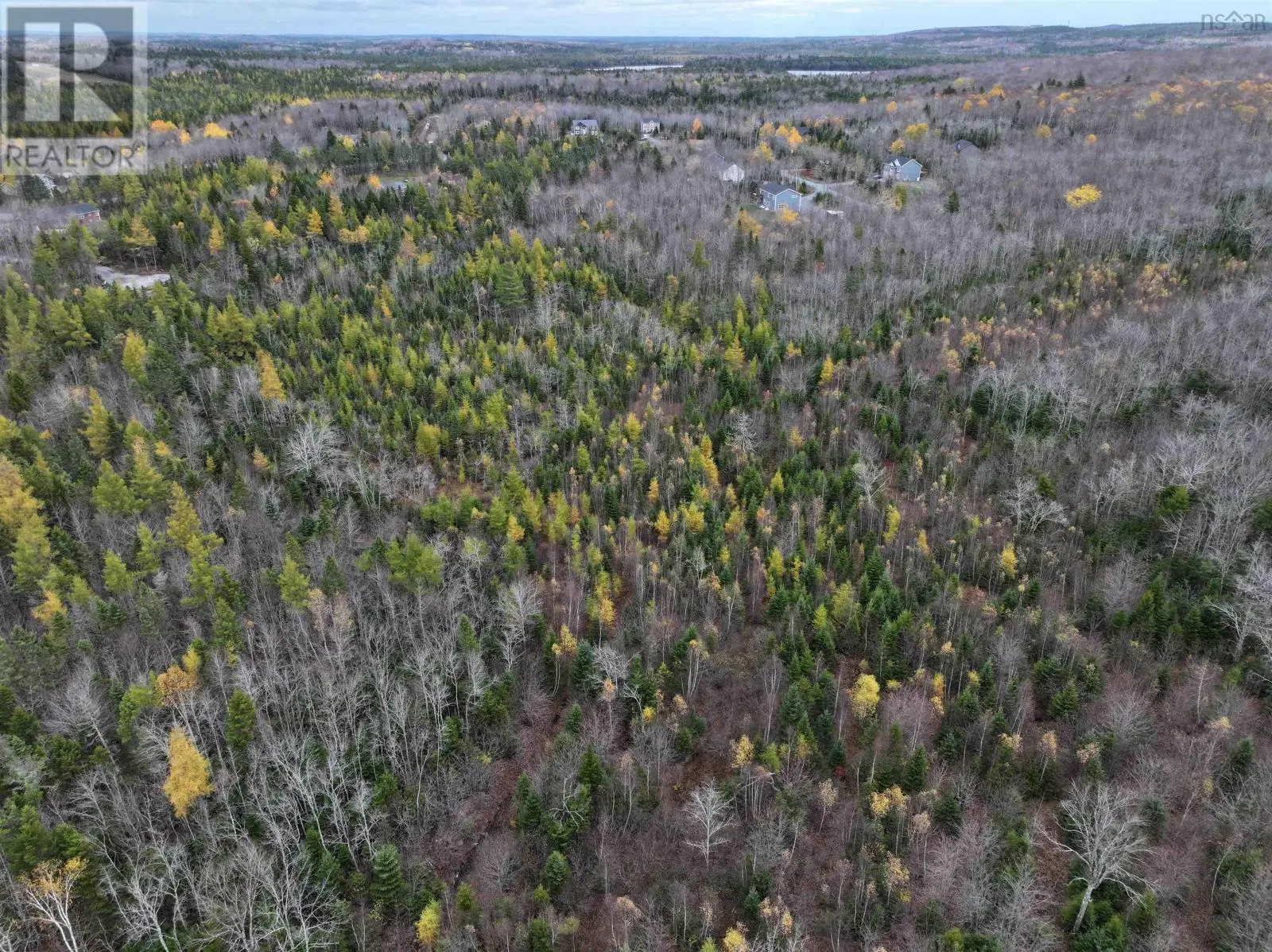 CM-2AY Mckenzie Lane