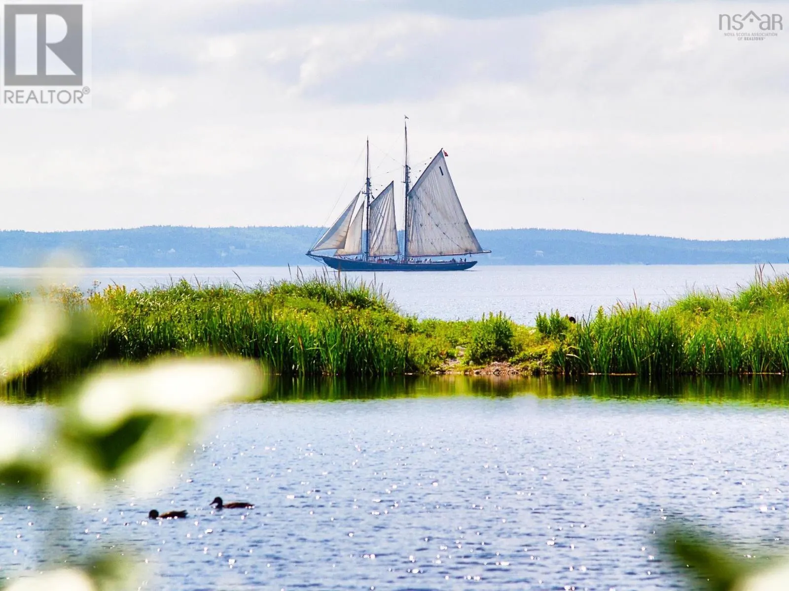 8856 St Margarets Bay Road