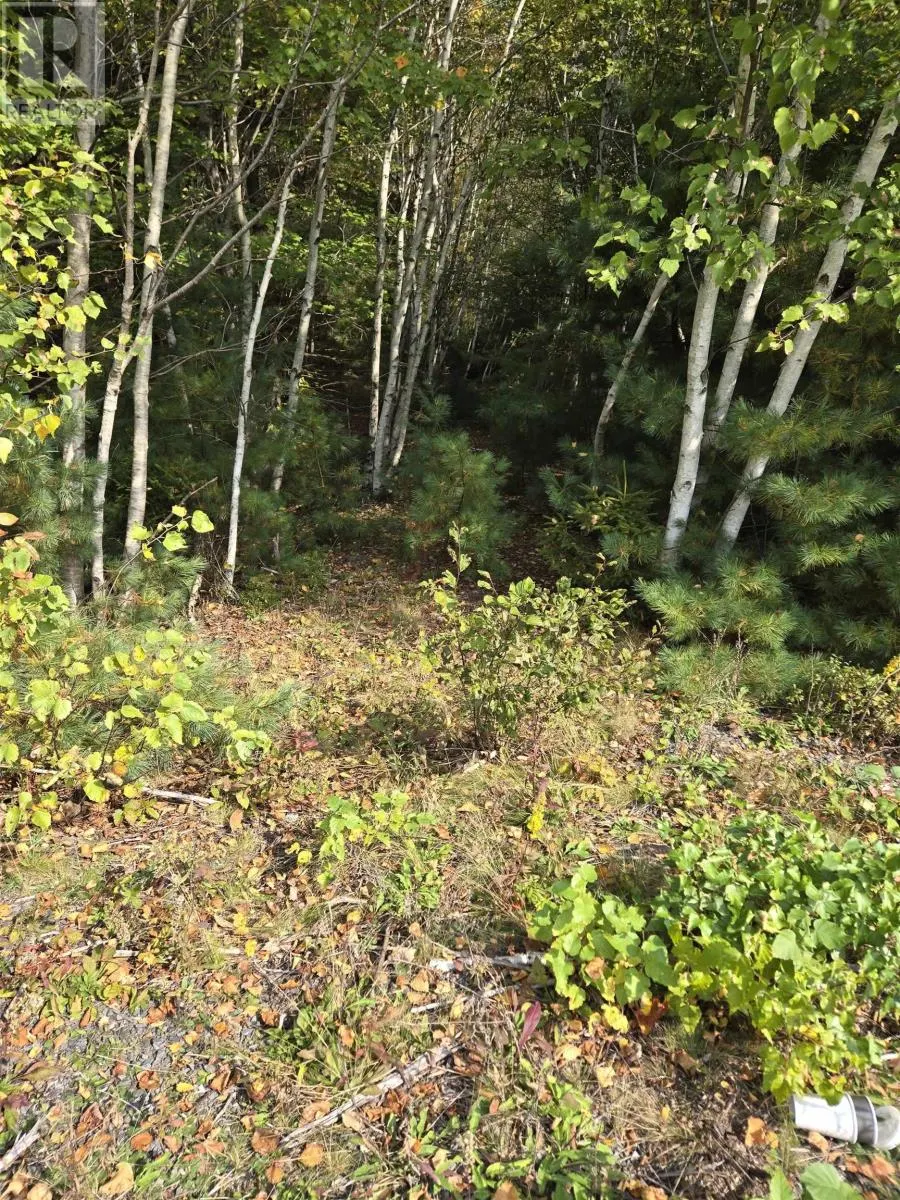 Lot 7 Lower Branch Road