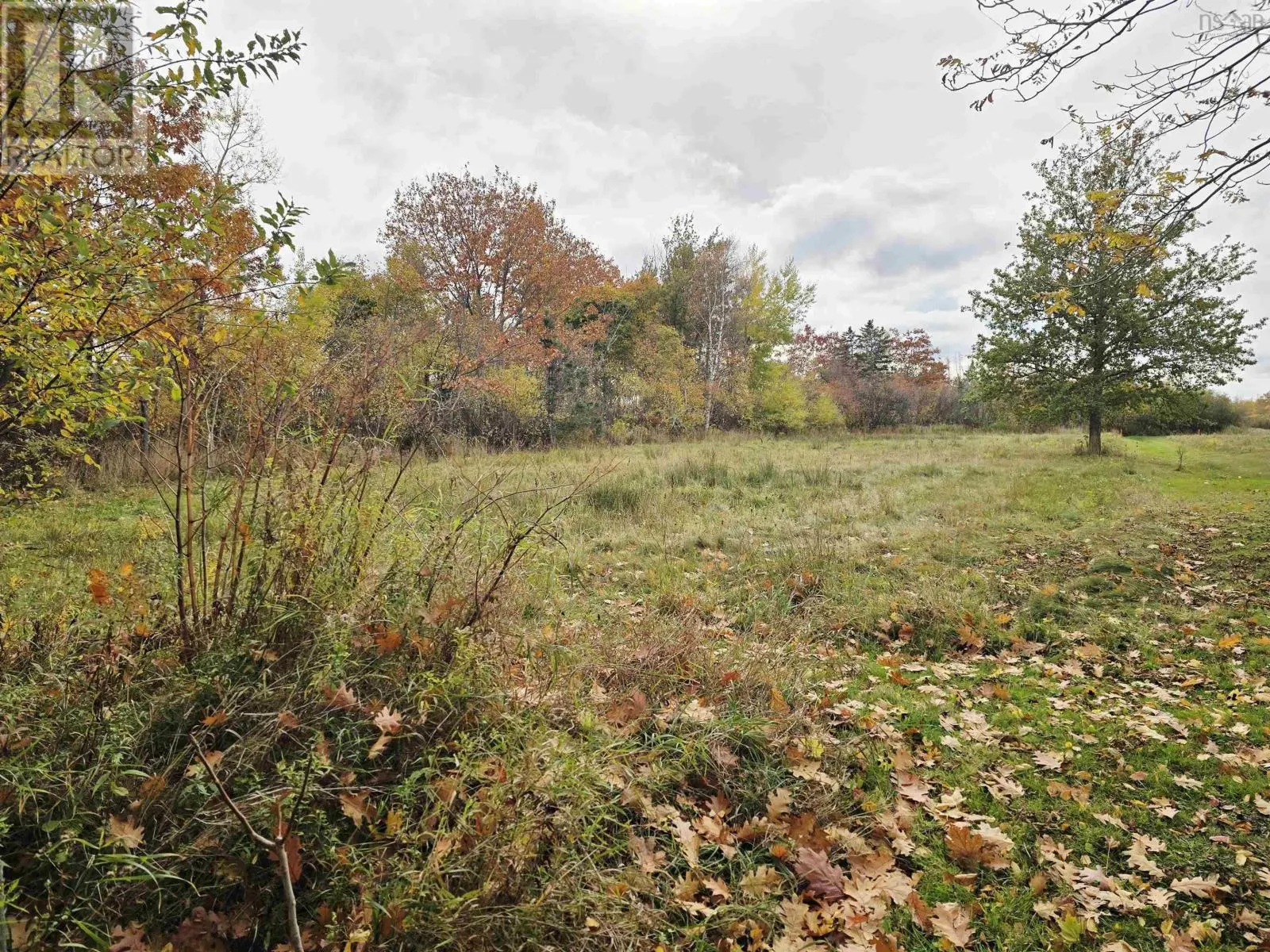 1764 Highway 6 Highway