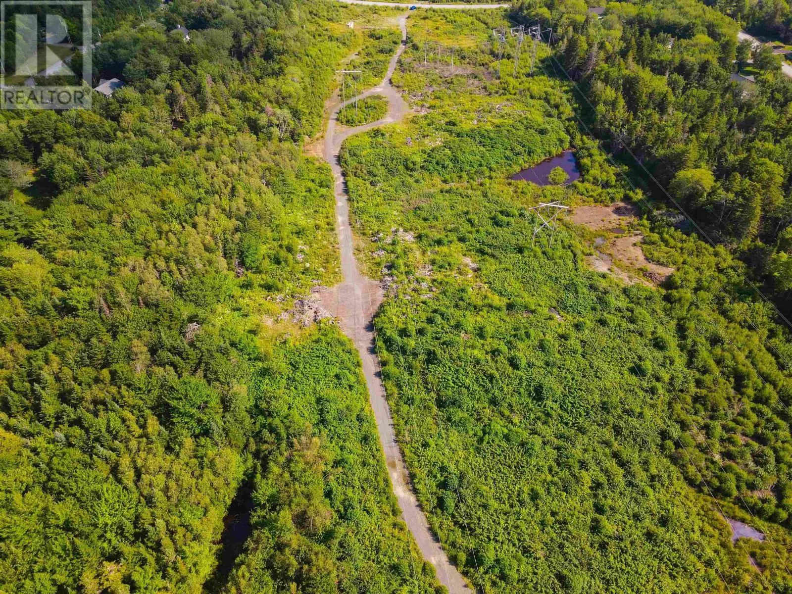1484 White Hills Run