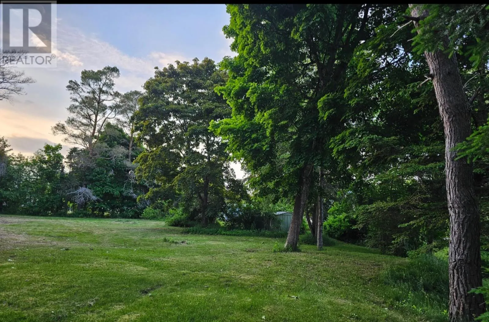 3 Reagh Avenue