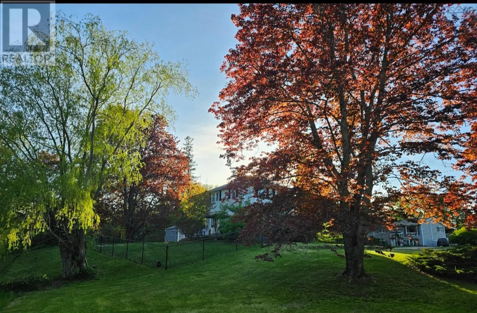 3 Reagh Avenue