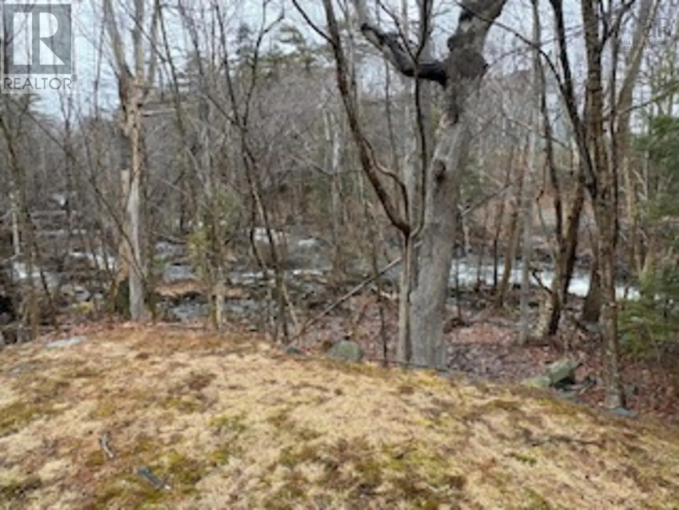 204 41 Moirs Mill Road