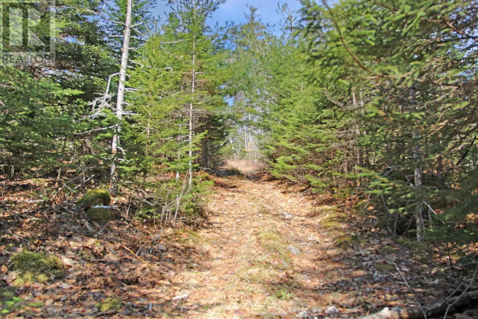 Woodstock Road