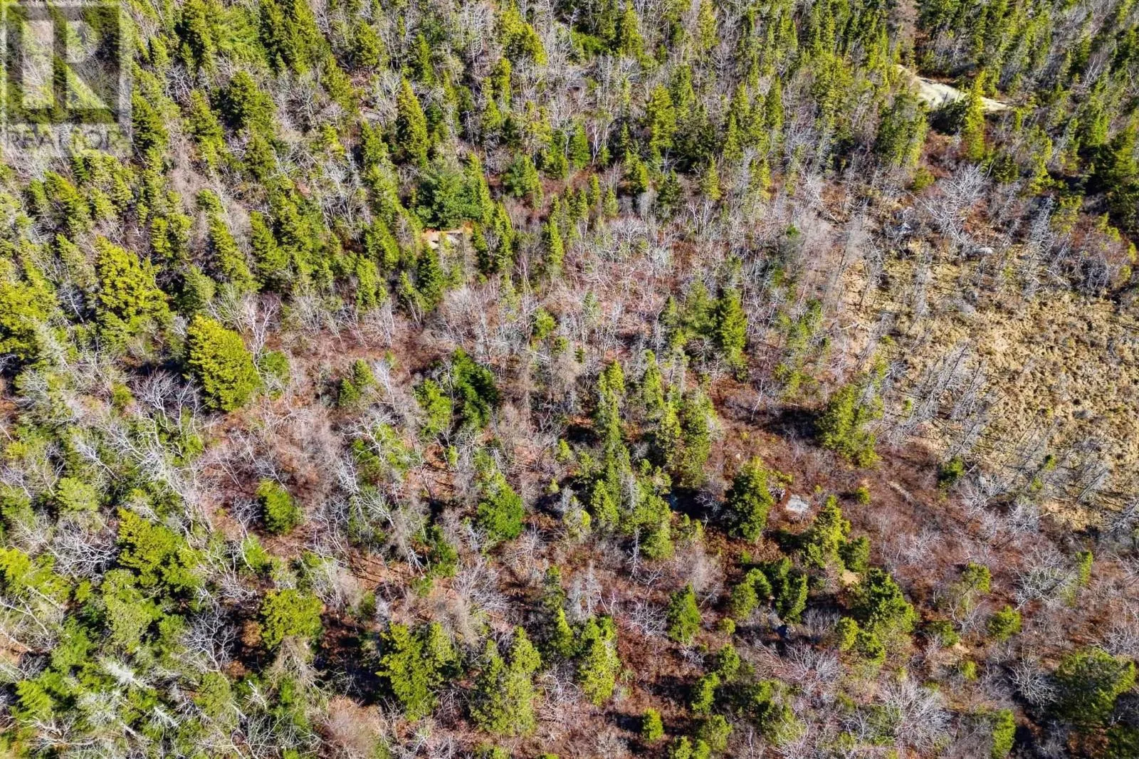 547 Herring Cove Road