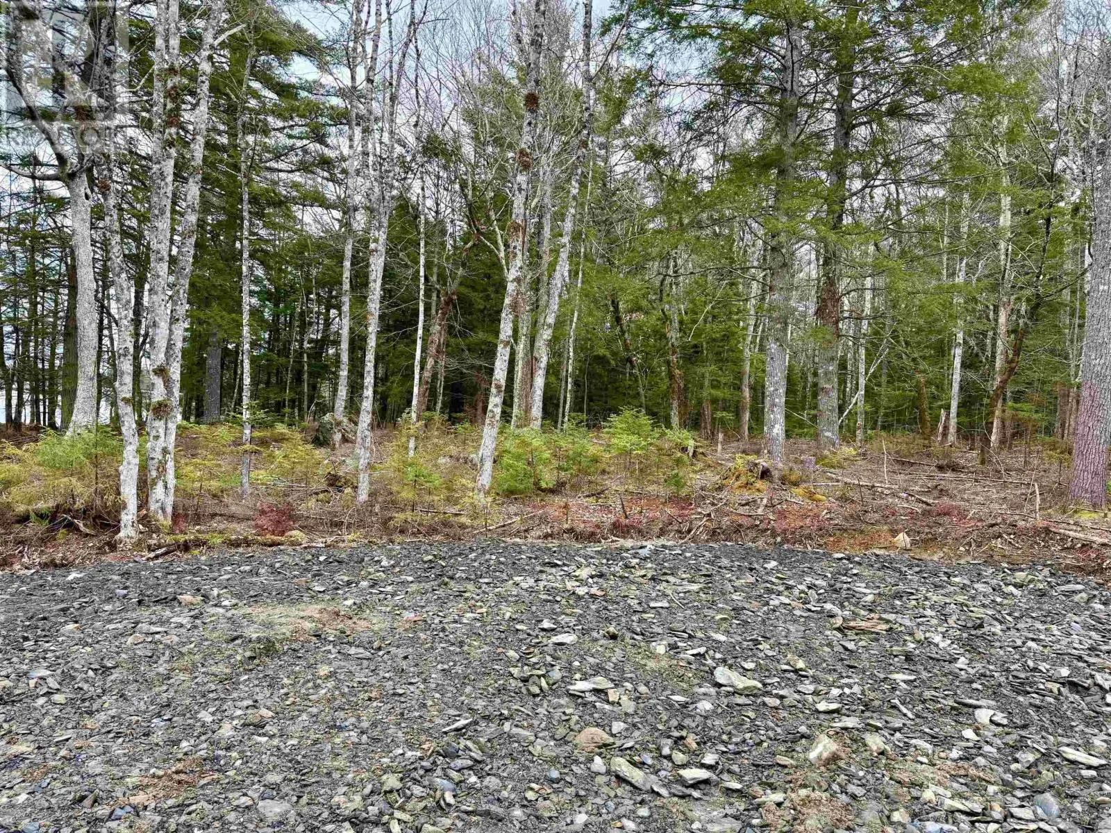 Lot 201 No 8 Highway