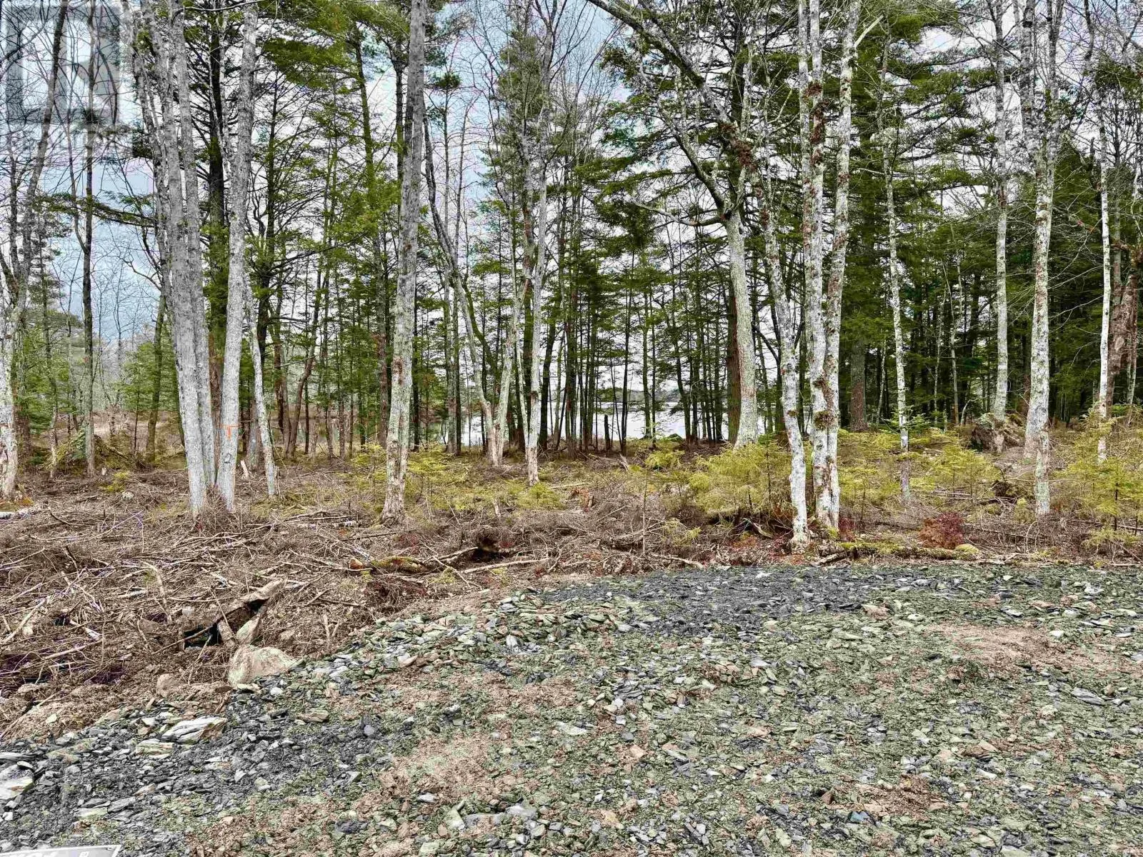 Lot 201 No 8 Highway