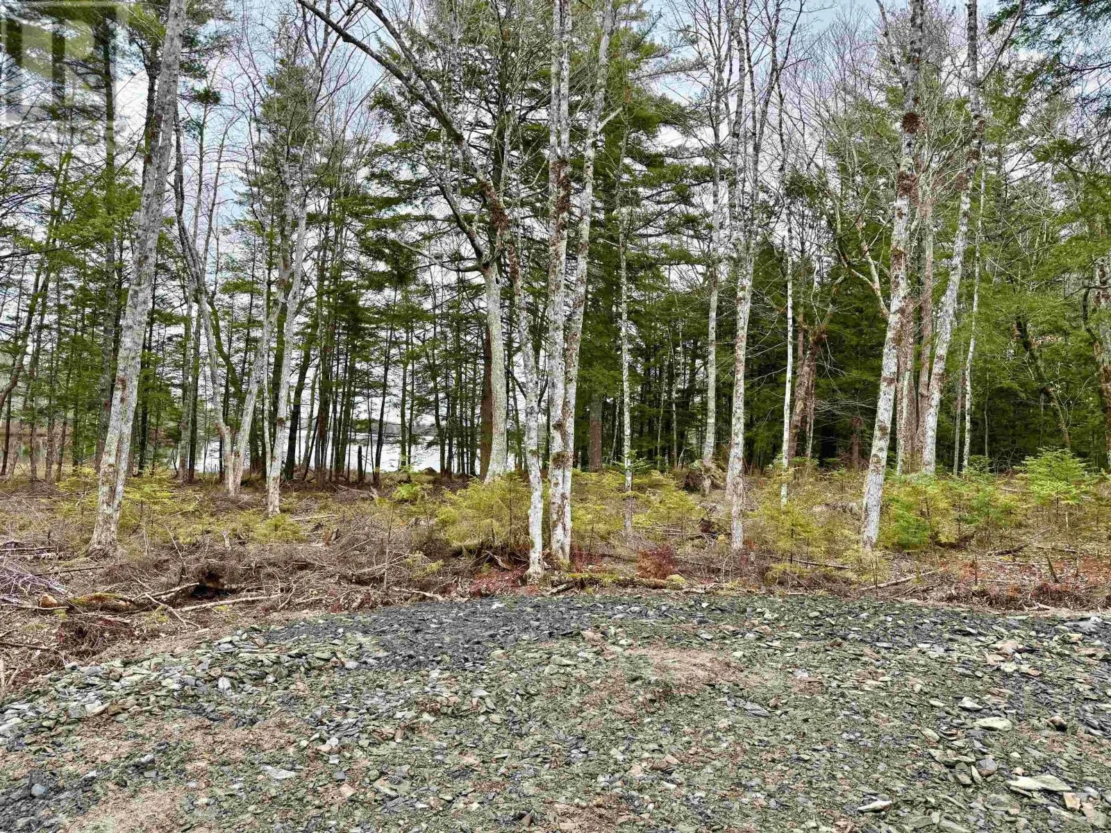 Lot 201 No 8 Highway