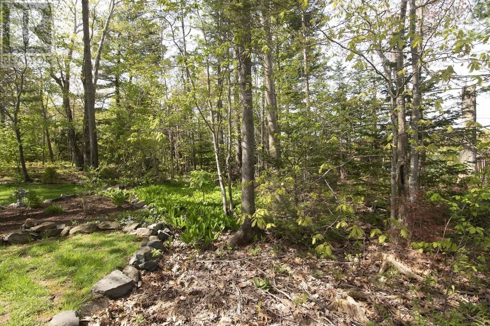 91 Ridgevale Drive