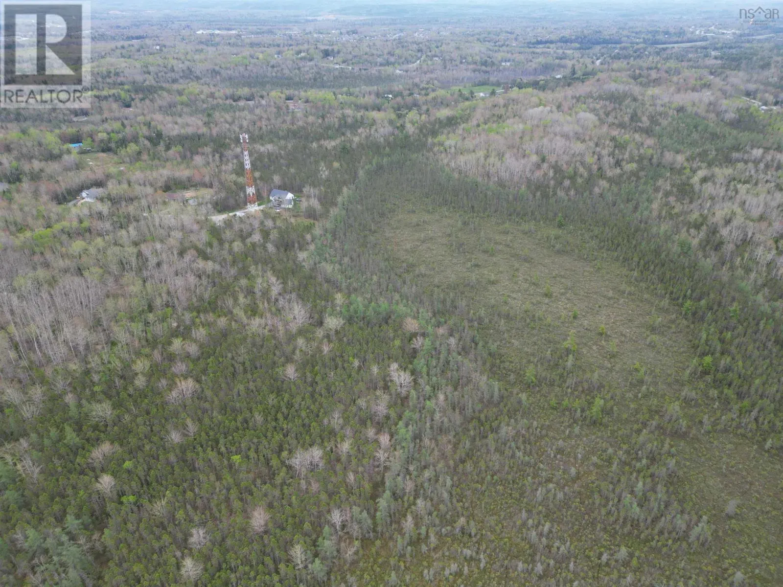 91 Timber Drive