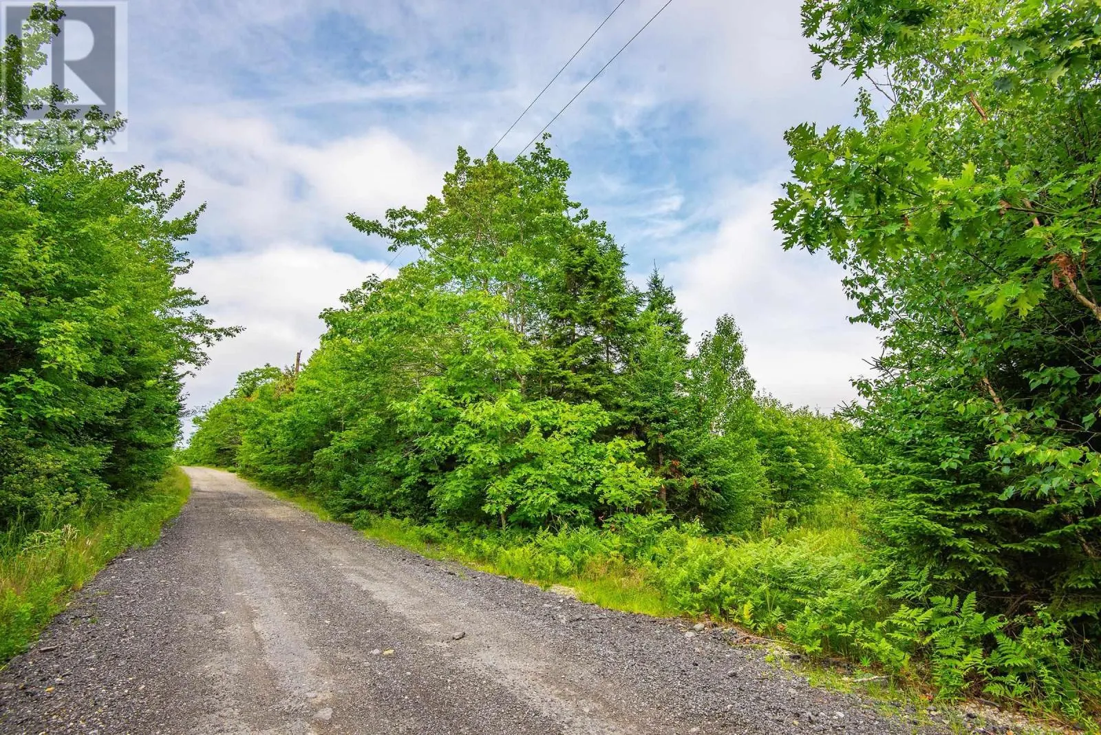 Lot, Hamilton Road